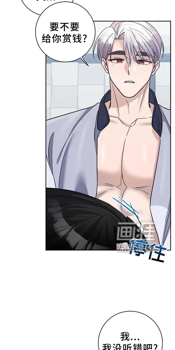 第19章：安排