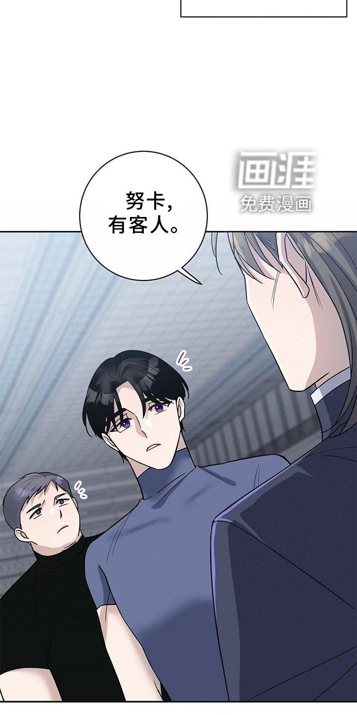 第19章：安排