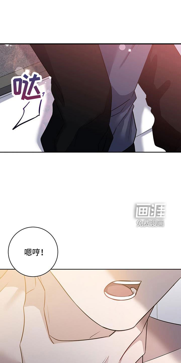第40章：期待一下