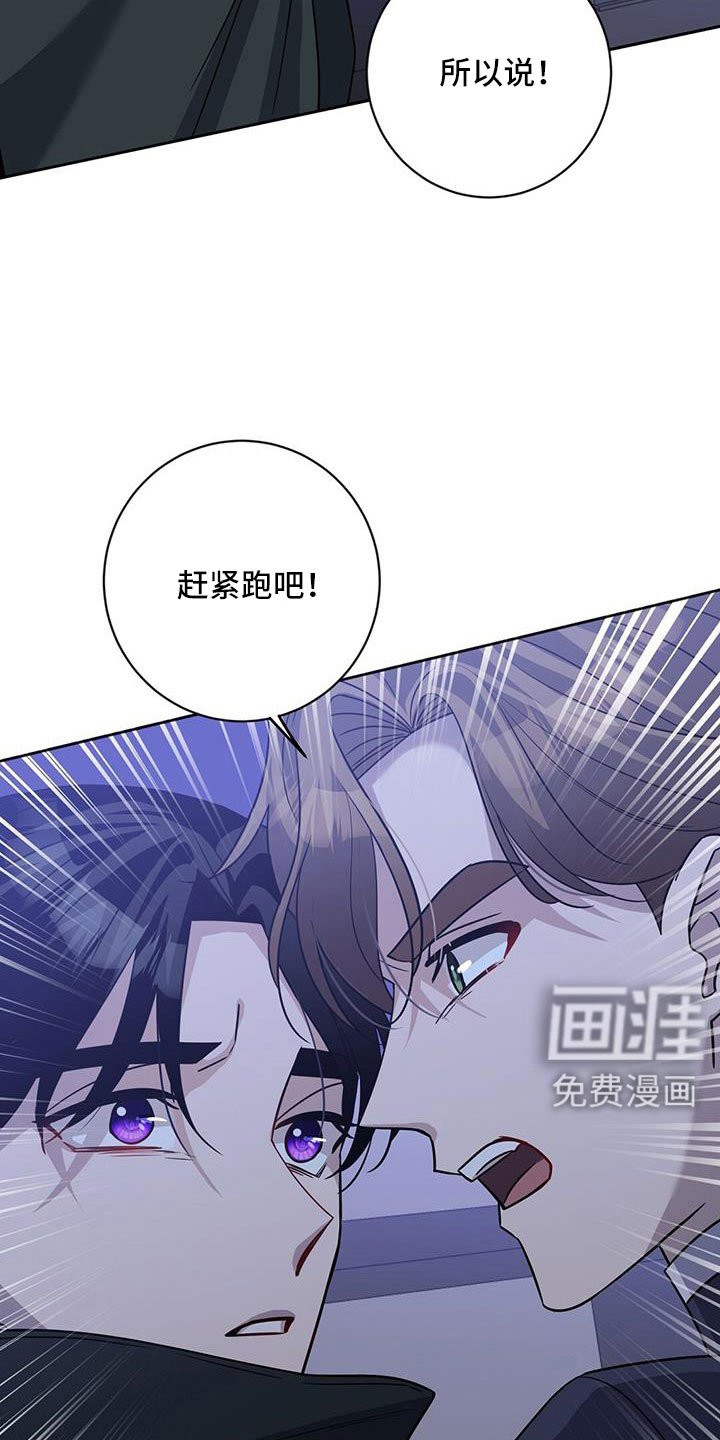 第42章：我喜欢你