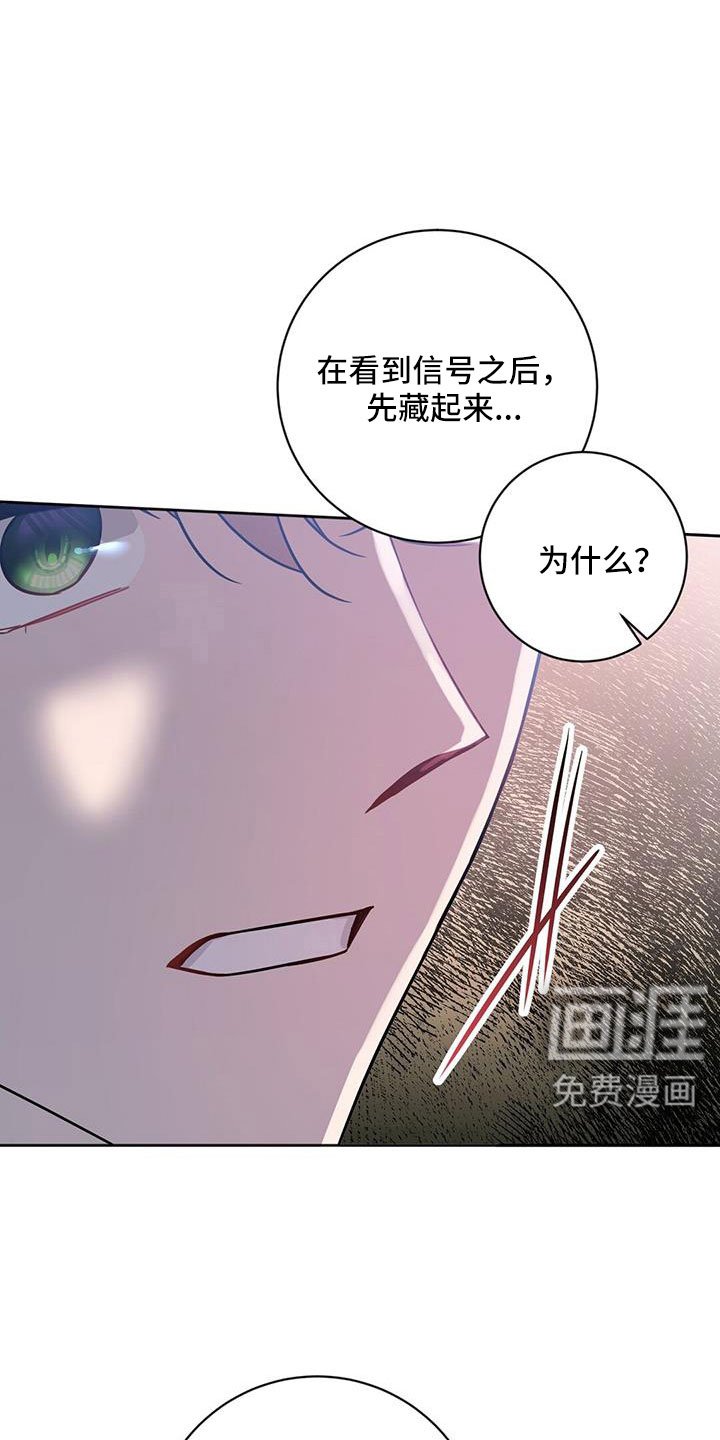 第42章：我喜欢你