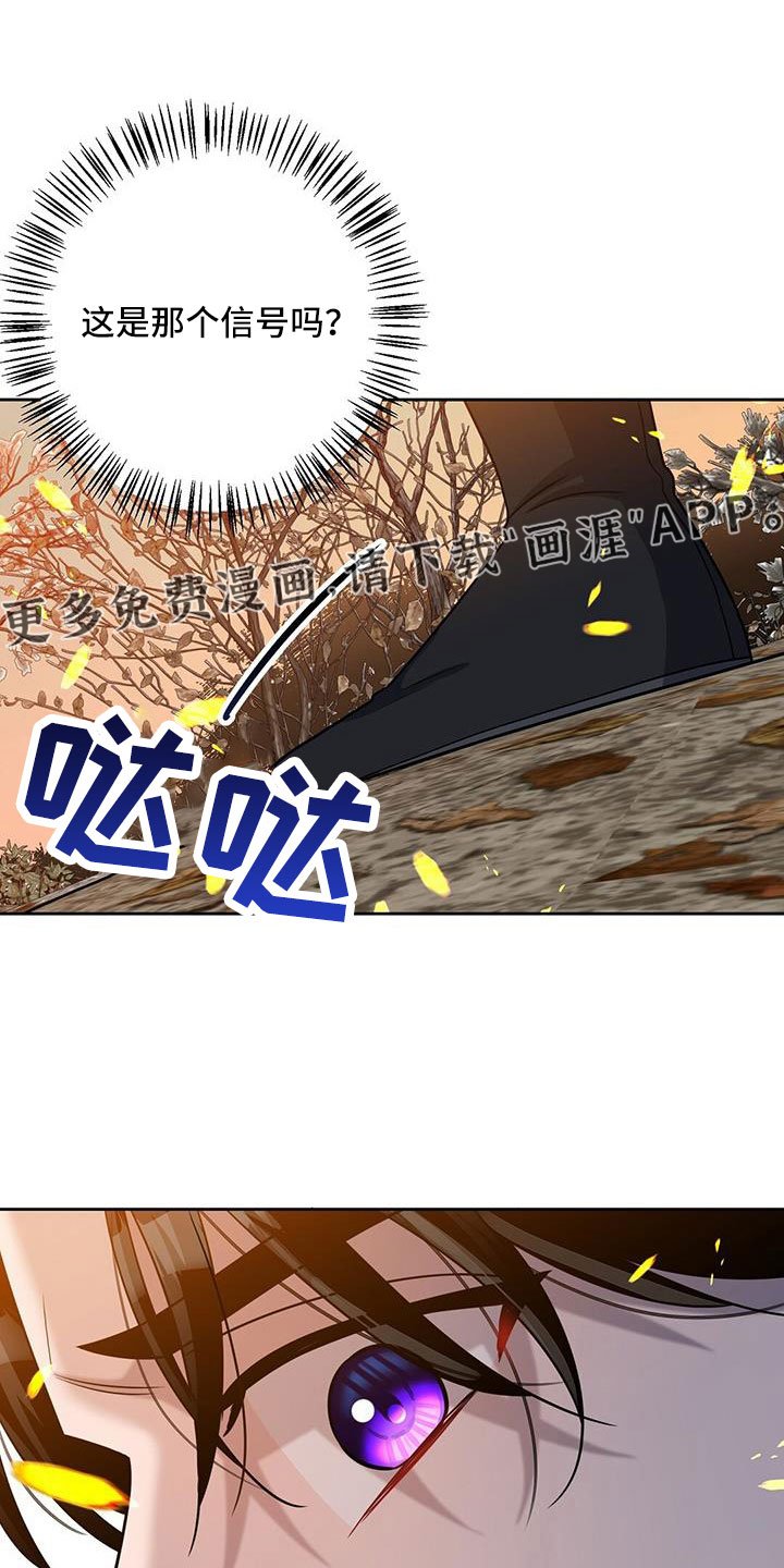 第43章：出征