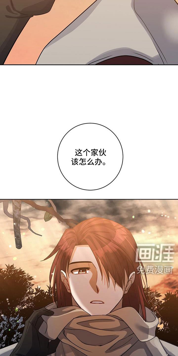 第44章：出大事了