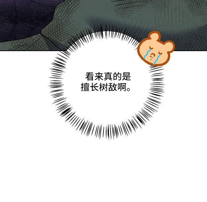 第46章：擅长树敌