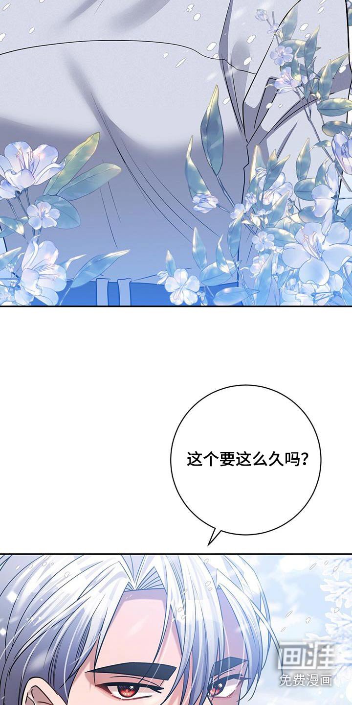 第61章：我的人生