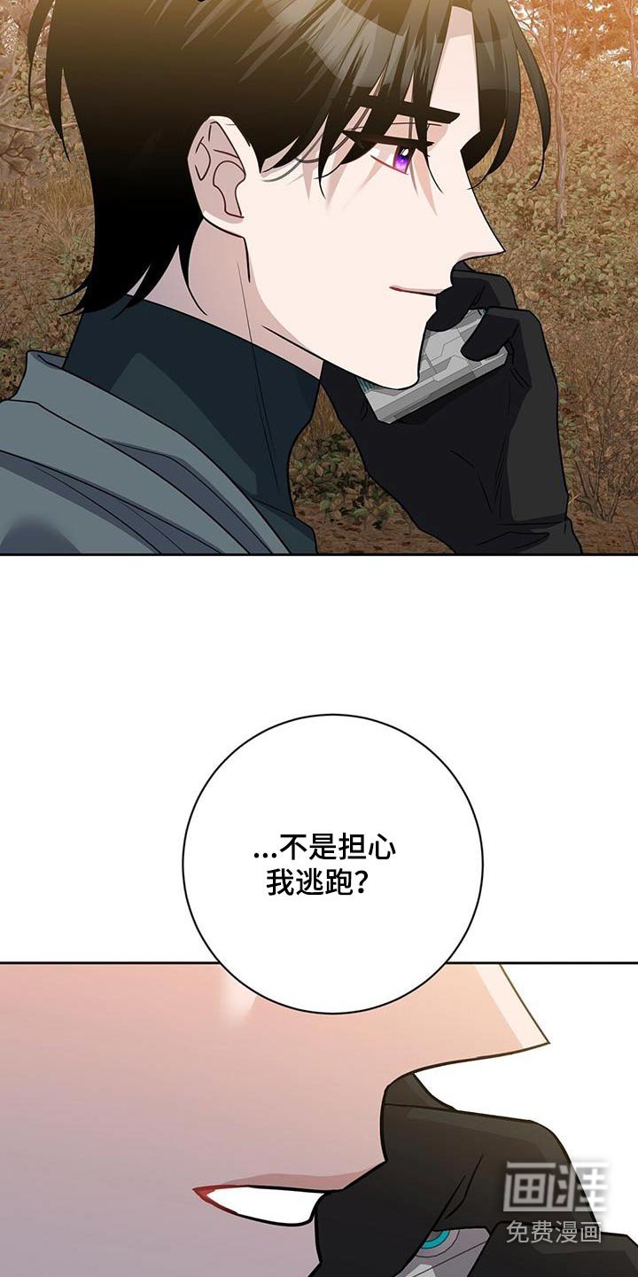 第62章：地雷