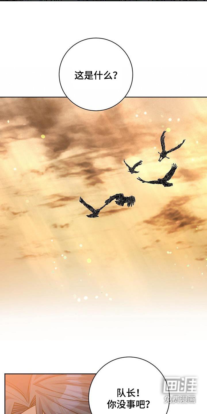 第62章：地雷