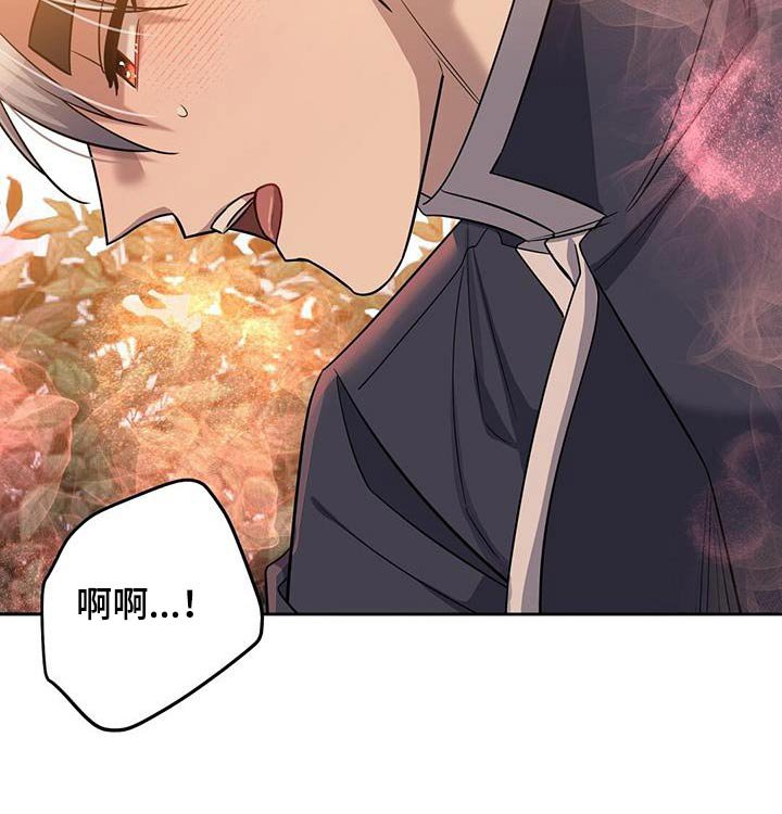 第67章：你干嘛