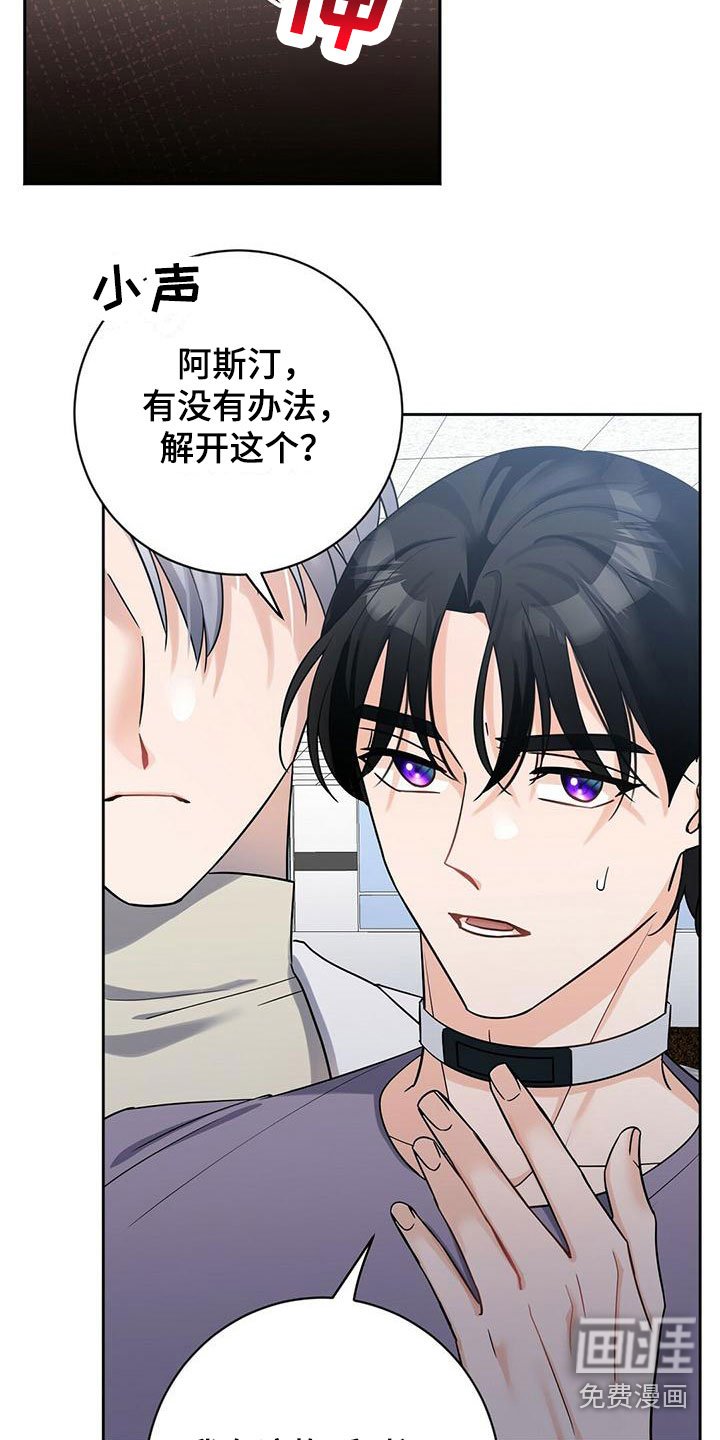 第8章：上校