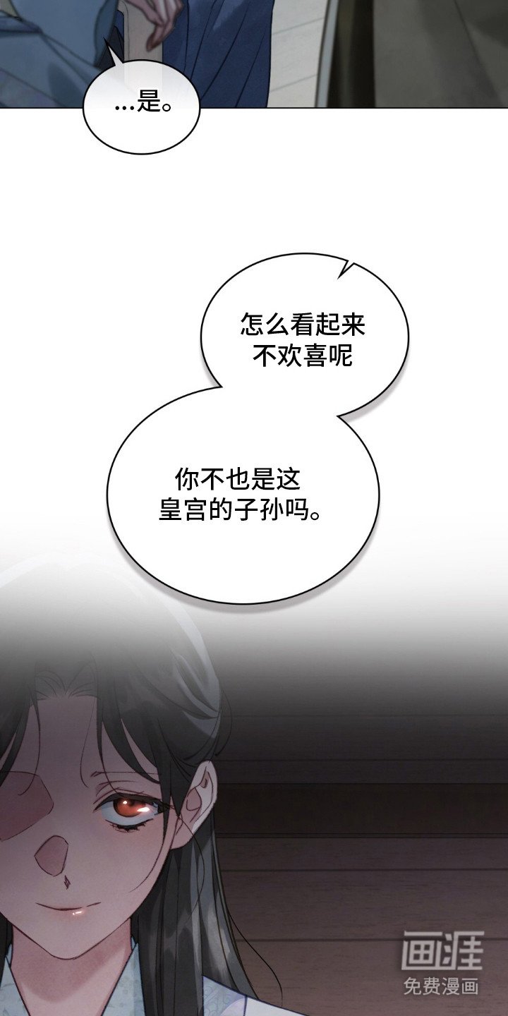 第16章：瞳孔