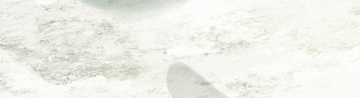 第36章：花香
