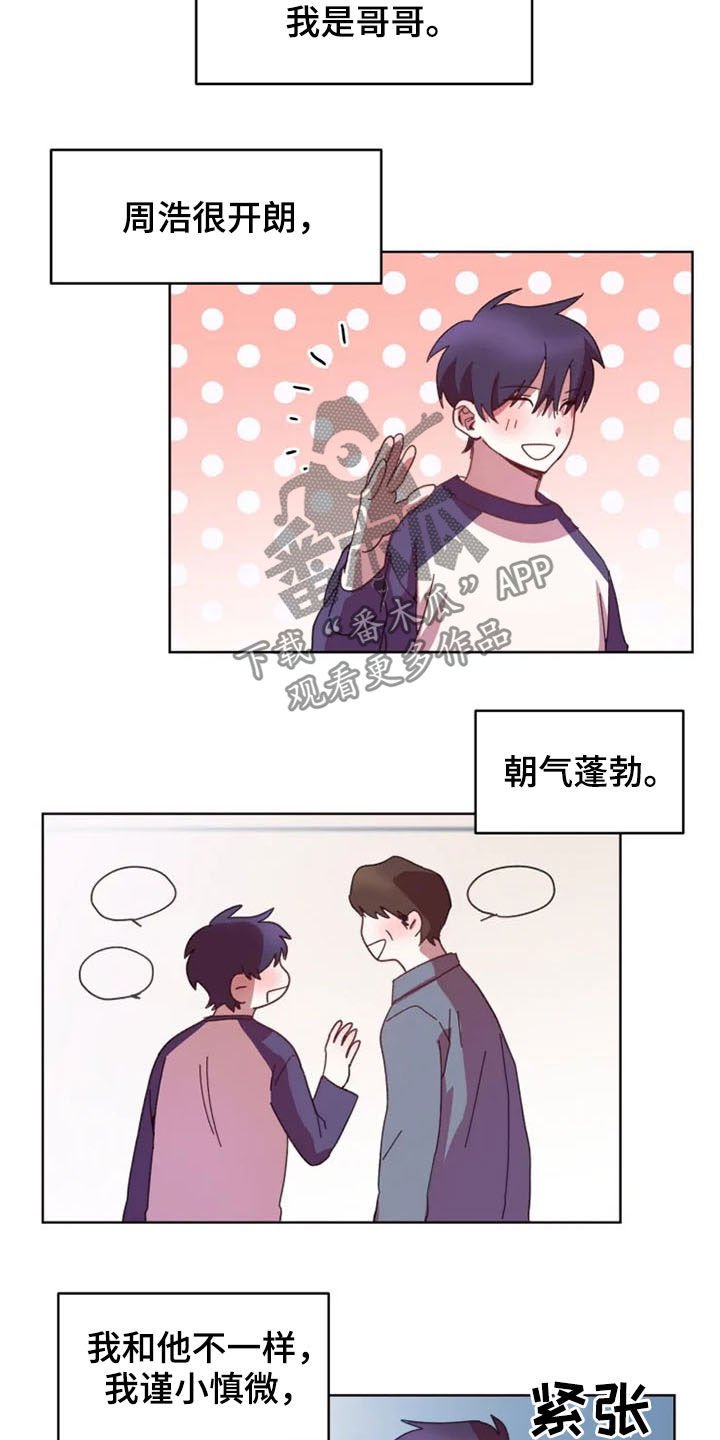 第37章：双胞胎