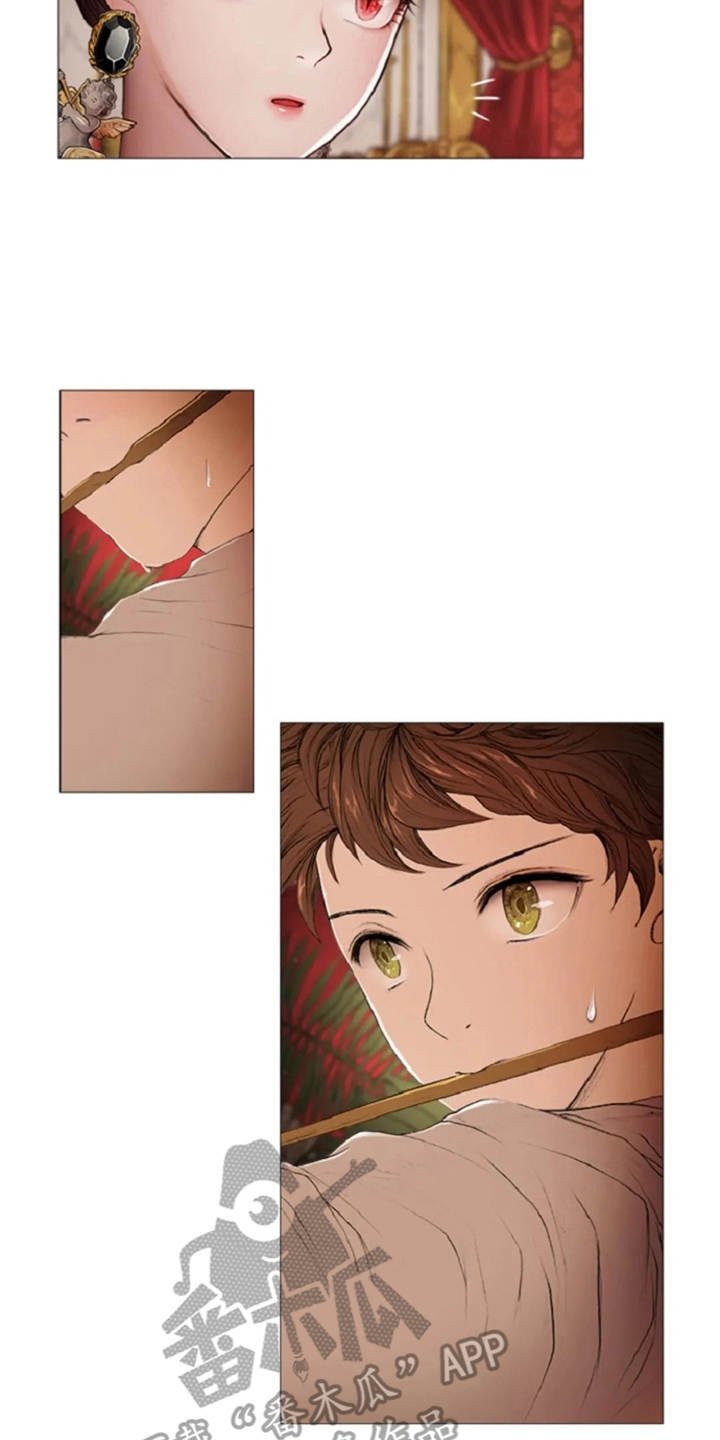 第11章：期待与好奇