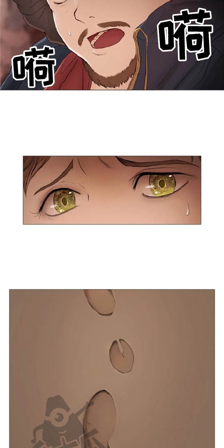 第16章：火刑