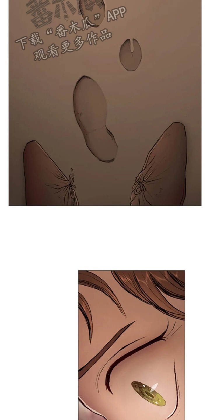 第16章：火刑