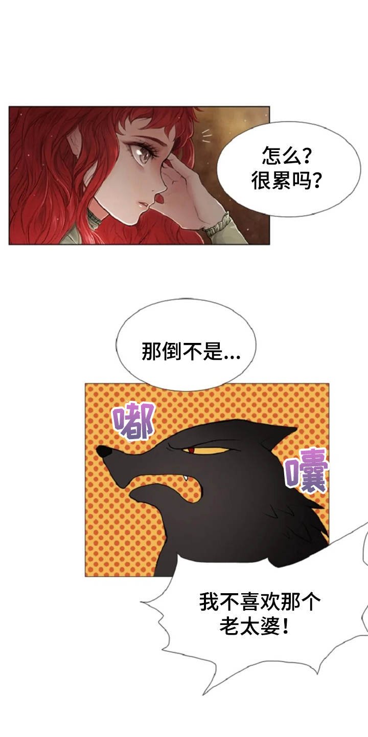 第17章：嘲讽
