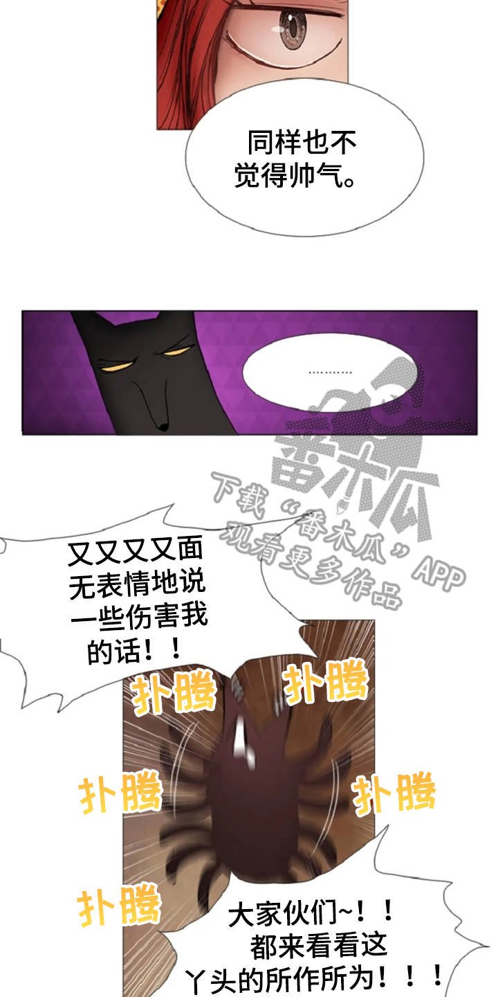 第17章：嘲讽