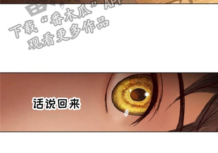 第17章：嘲讽