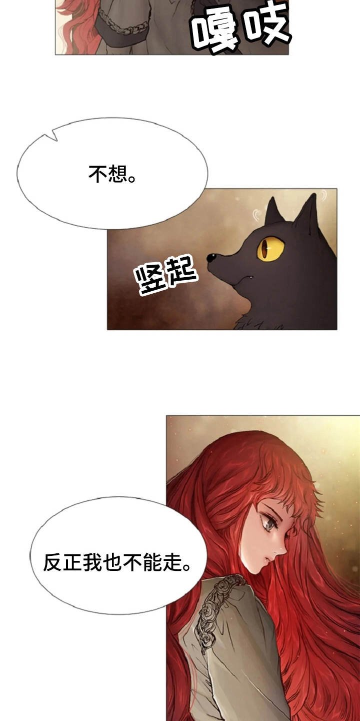 第17章：嘲讽