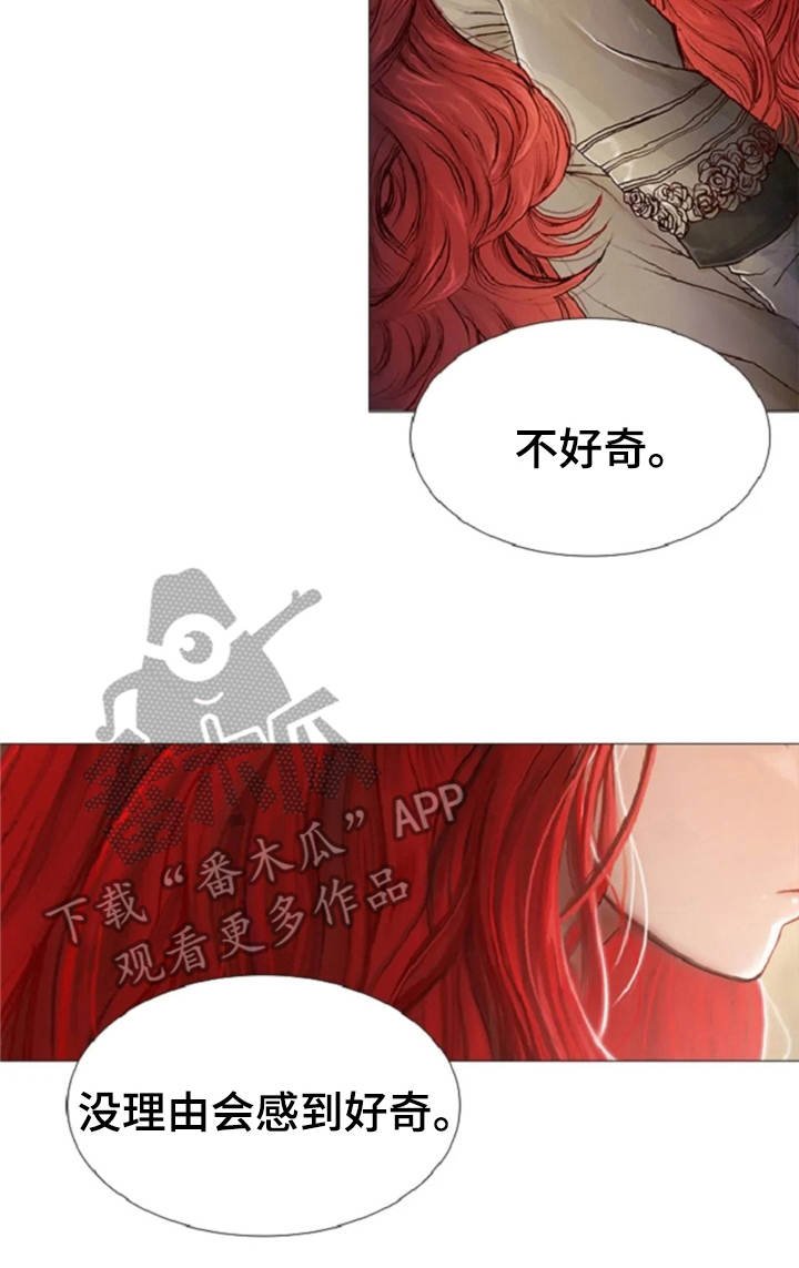 第17章：嘲讽
