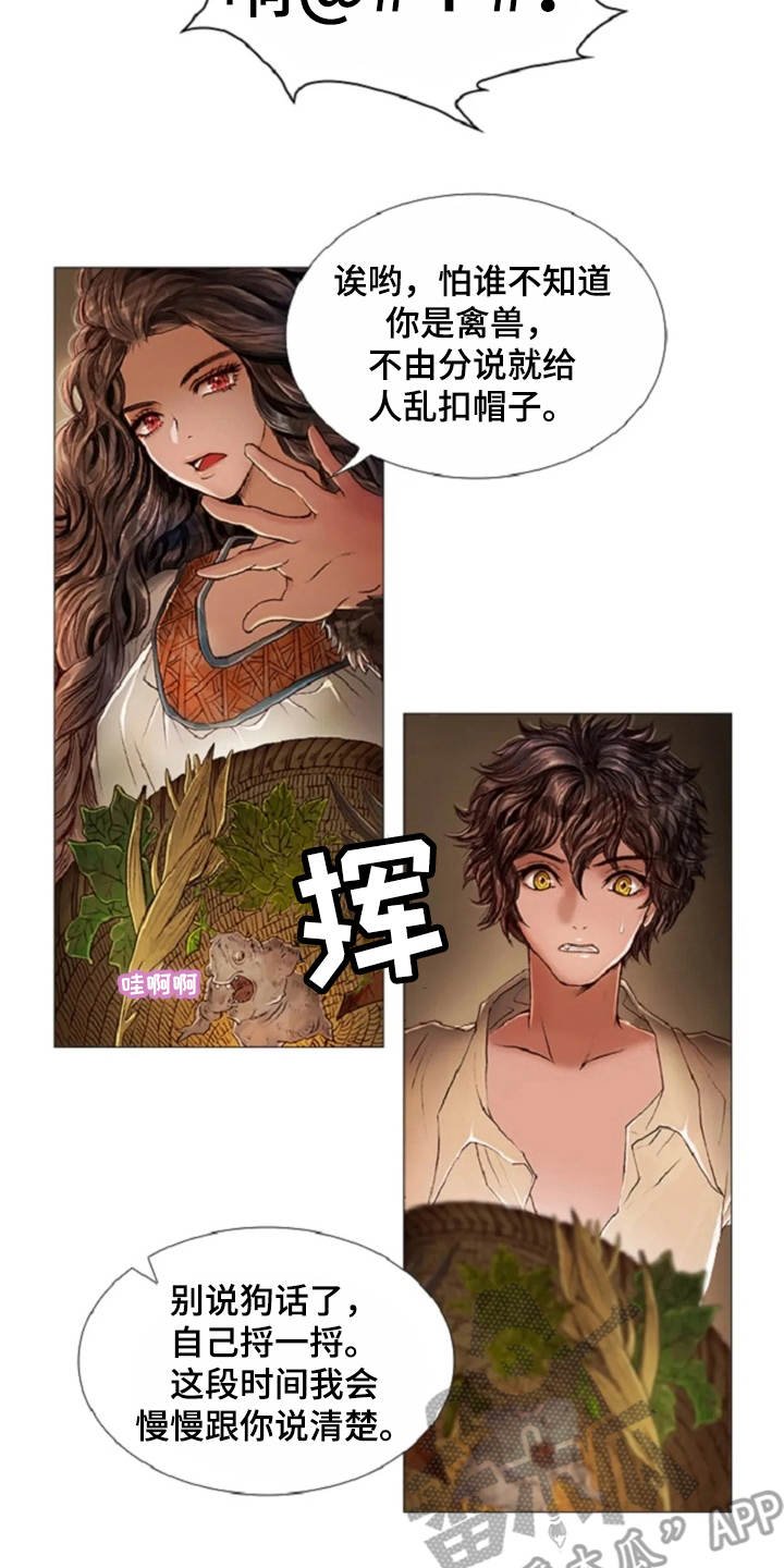 第25章：魔女的约定