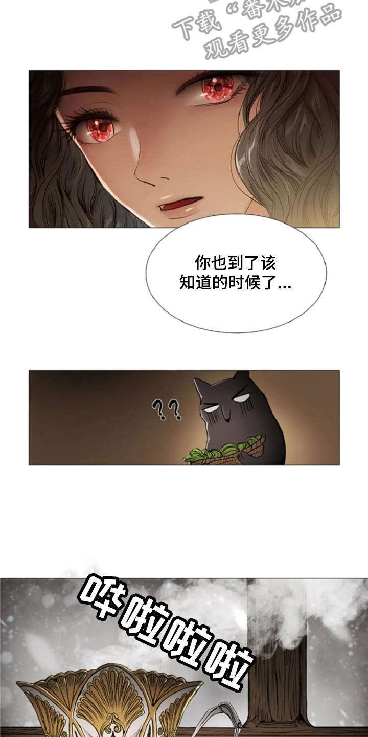 第25章：魔女的约定
