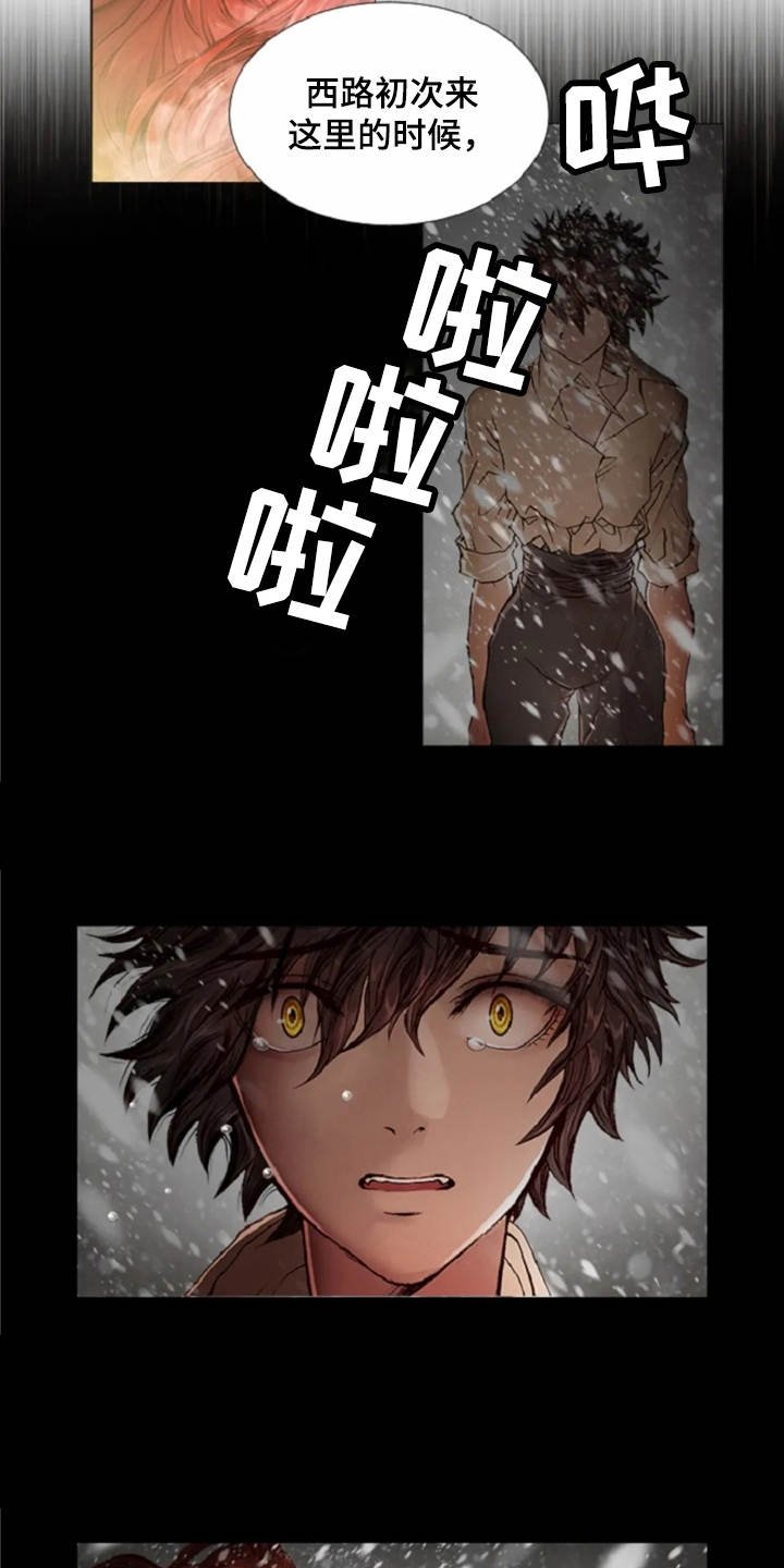 第25章：魔女的约定