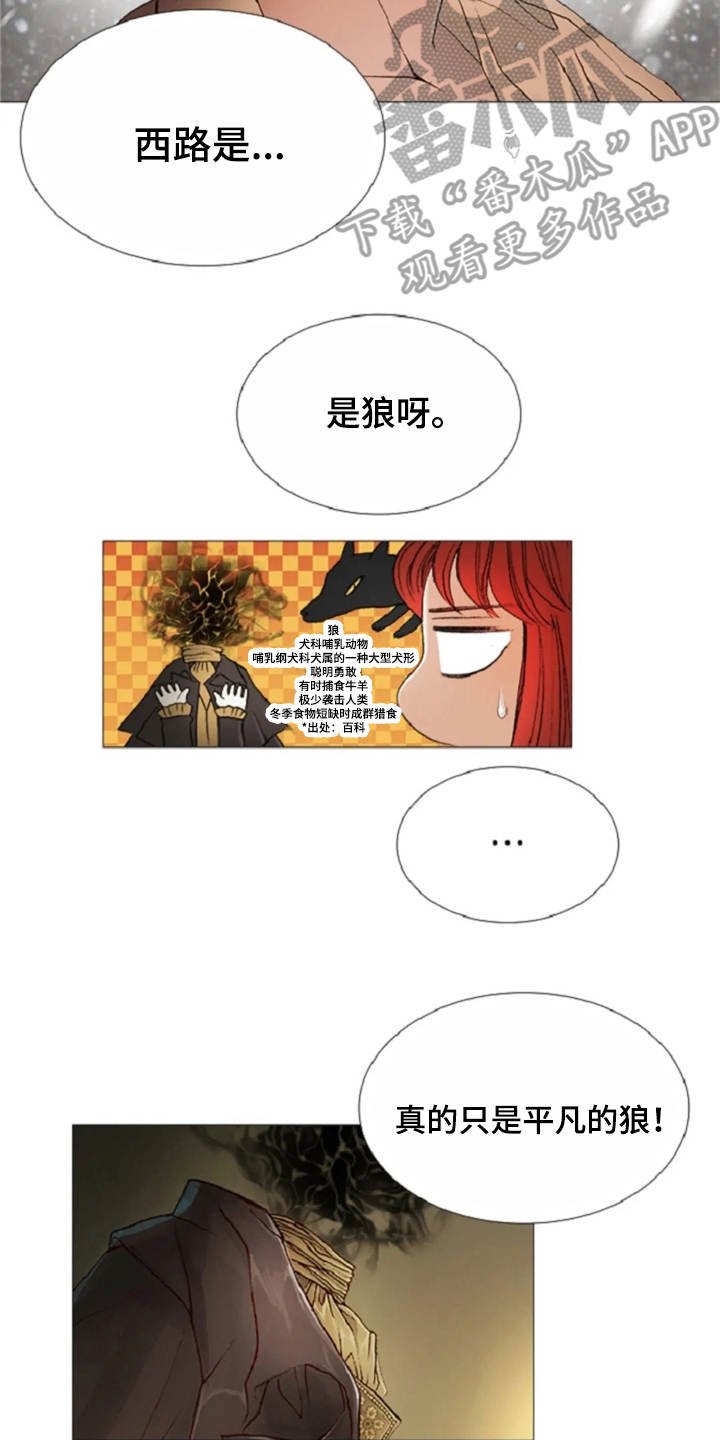 第26章：礼物