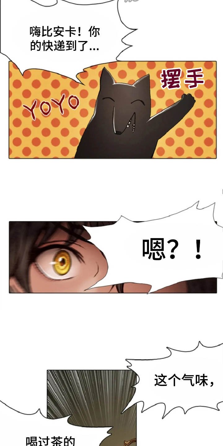 第26章：礼物