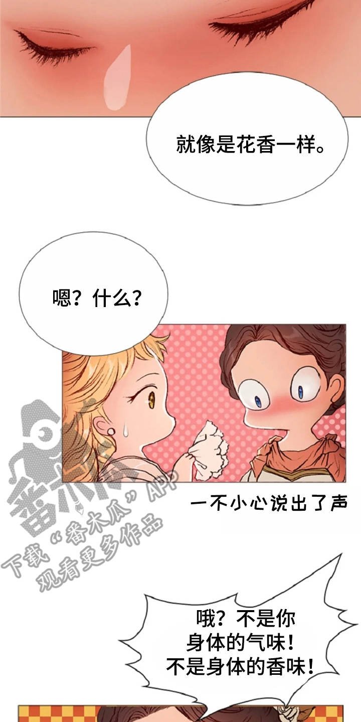 第29章：香味