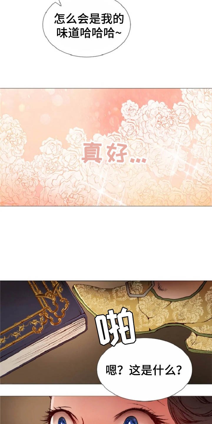 第29章：香味