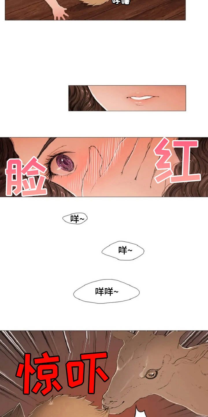 第3章：闪耀的星星