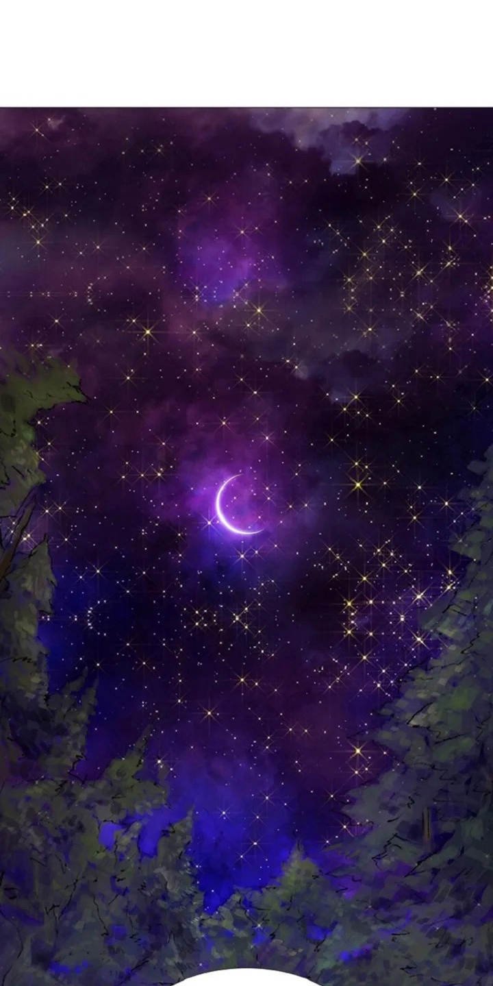 第3章：闪耀的星星