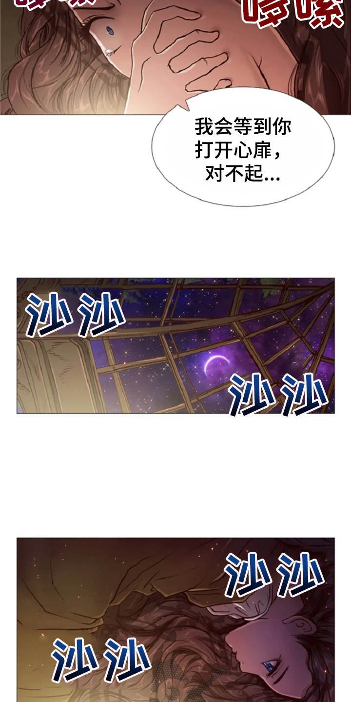 第31章：眼泪