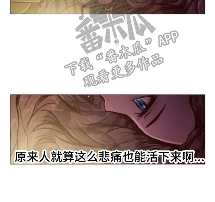 第31章：眼泪
