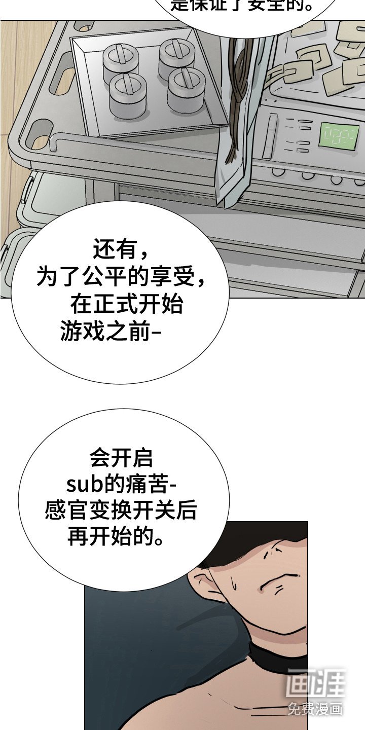 第12章：感官刺激