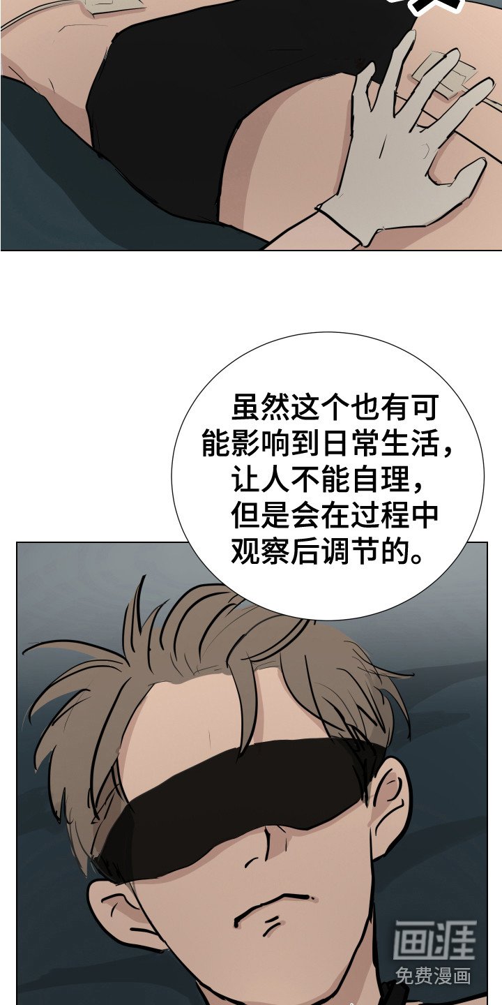 第12章：感官刺激