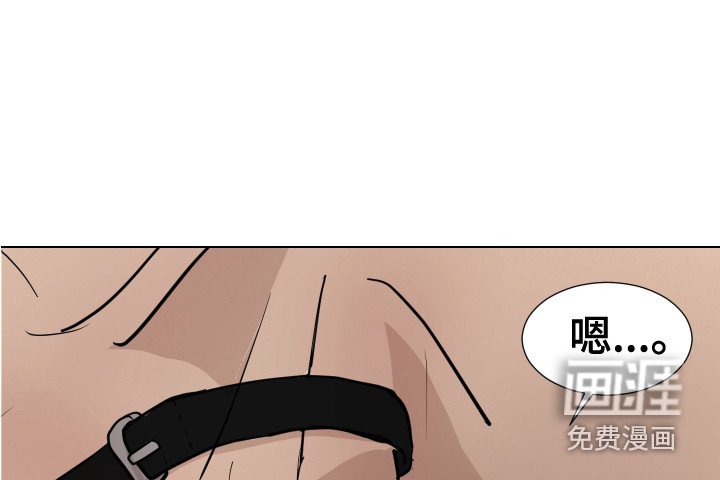 第12章：感官刺激