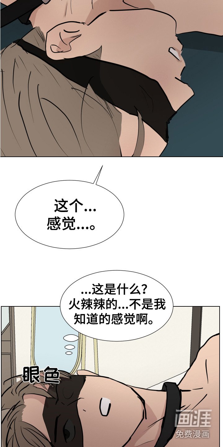 第12章：感官刺激