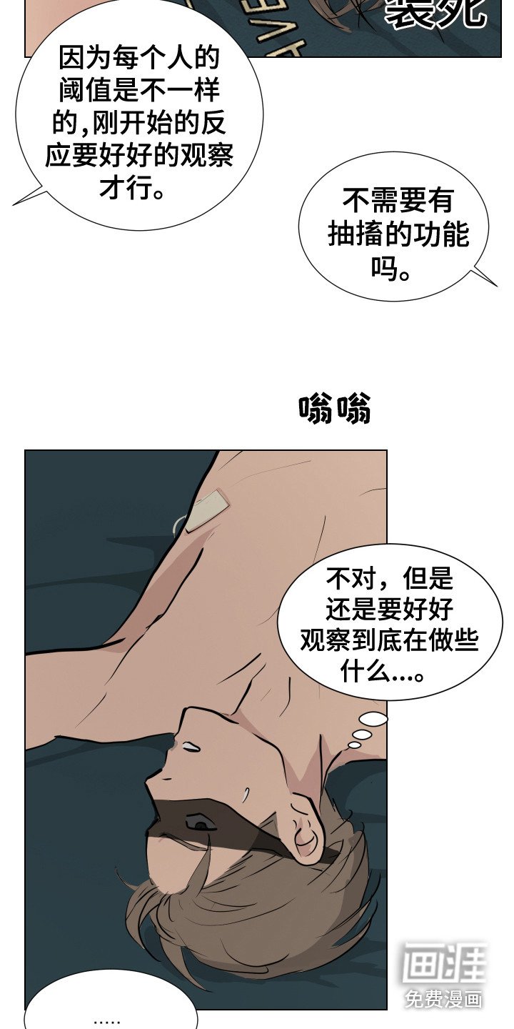 第12章：感官刺激