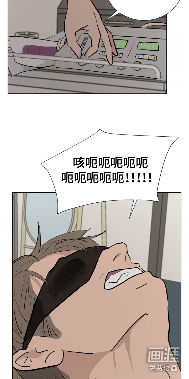 第12章：感官刺激