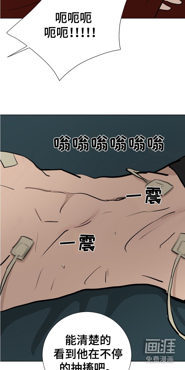 第12章：感官刺激