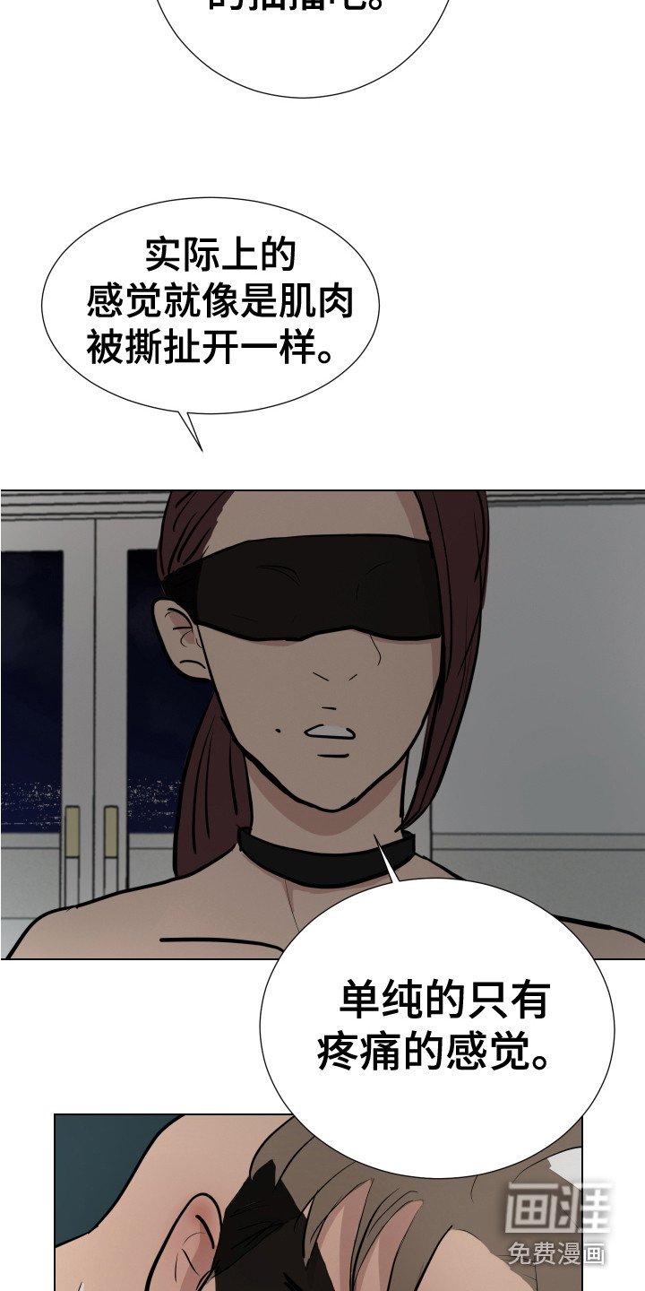 第12章：感官刺激