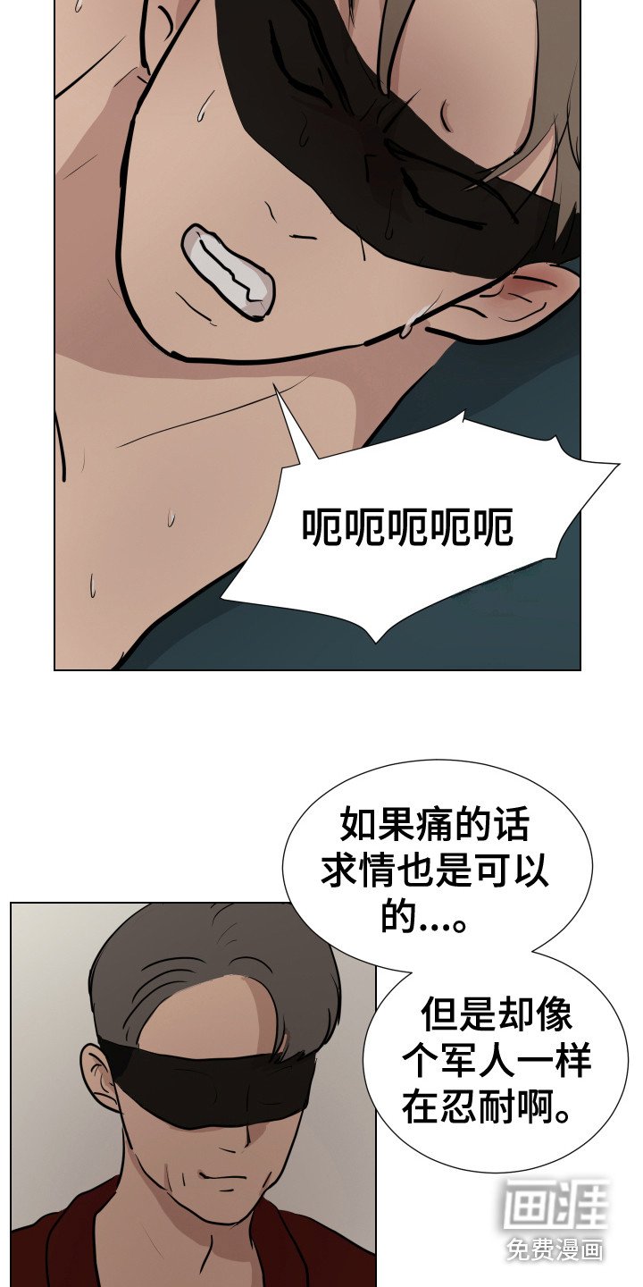 第12章：感官刺激