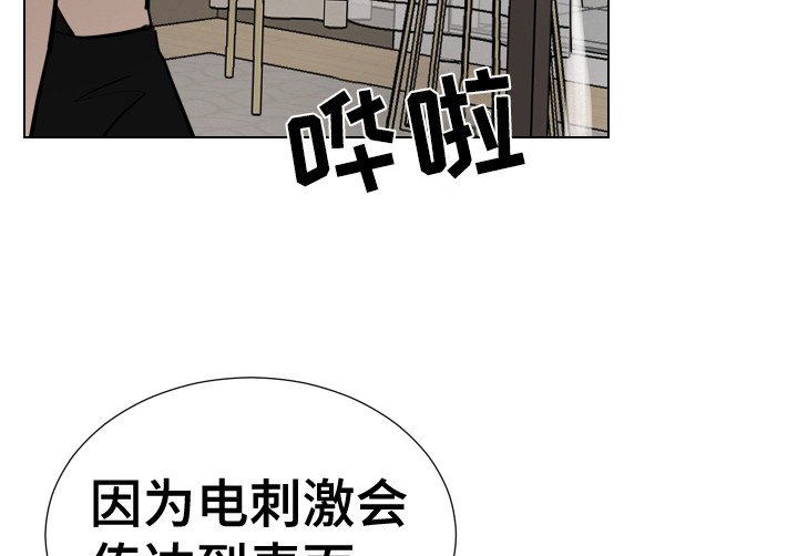 第13章：准备完毕