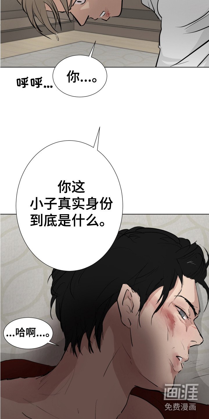 第18章：反击