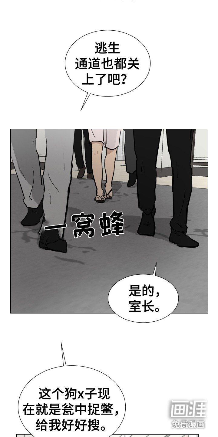 第21章：躲藏