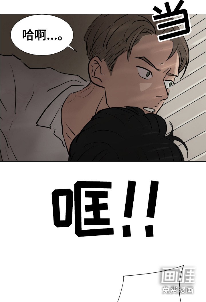第22章：搜寻