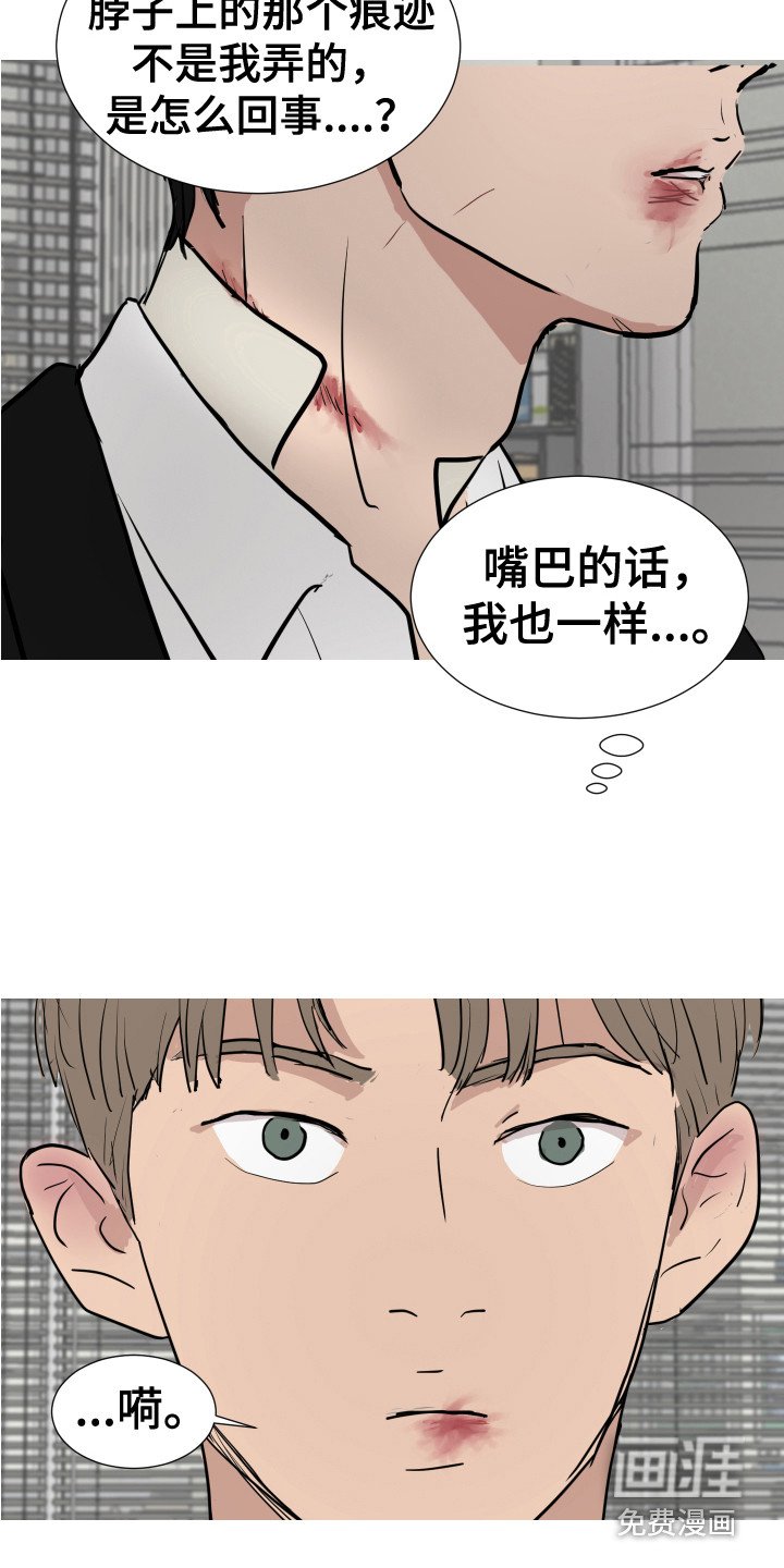 第28章：新的任务（完结）