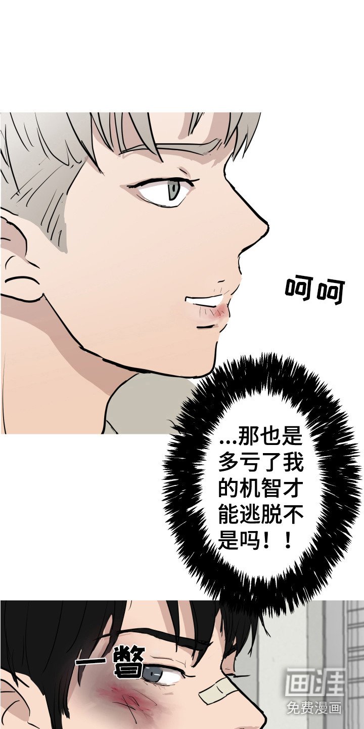 第28章：新的任务（完结）